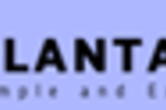 Preview of PlantAPS - A Software for planning manufacturing activities