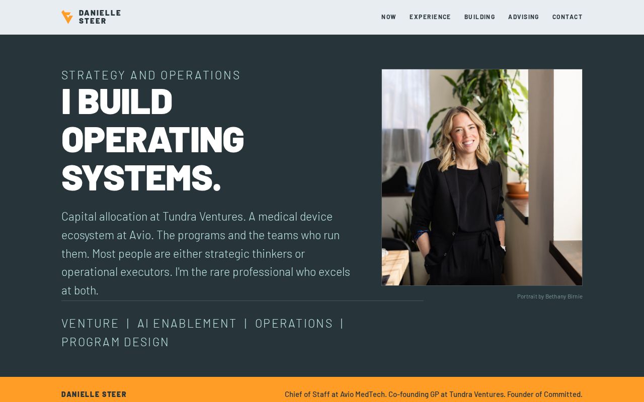 Preview of Daniellejsteer Website