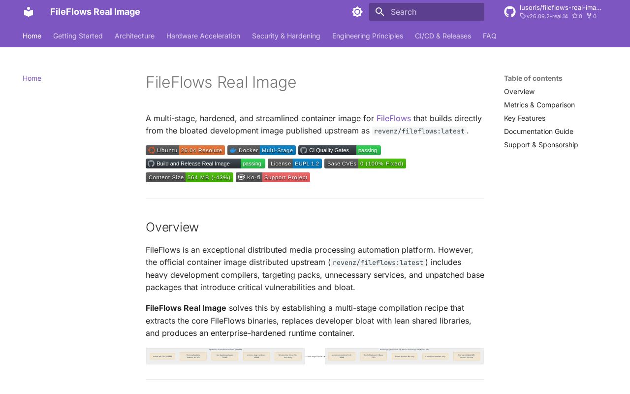 Preview of Fileflows Real Image
