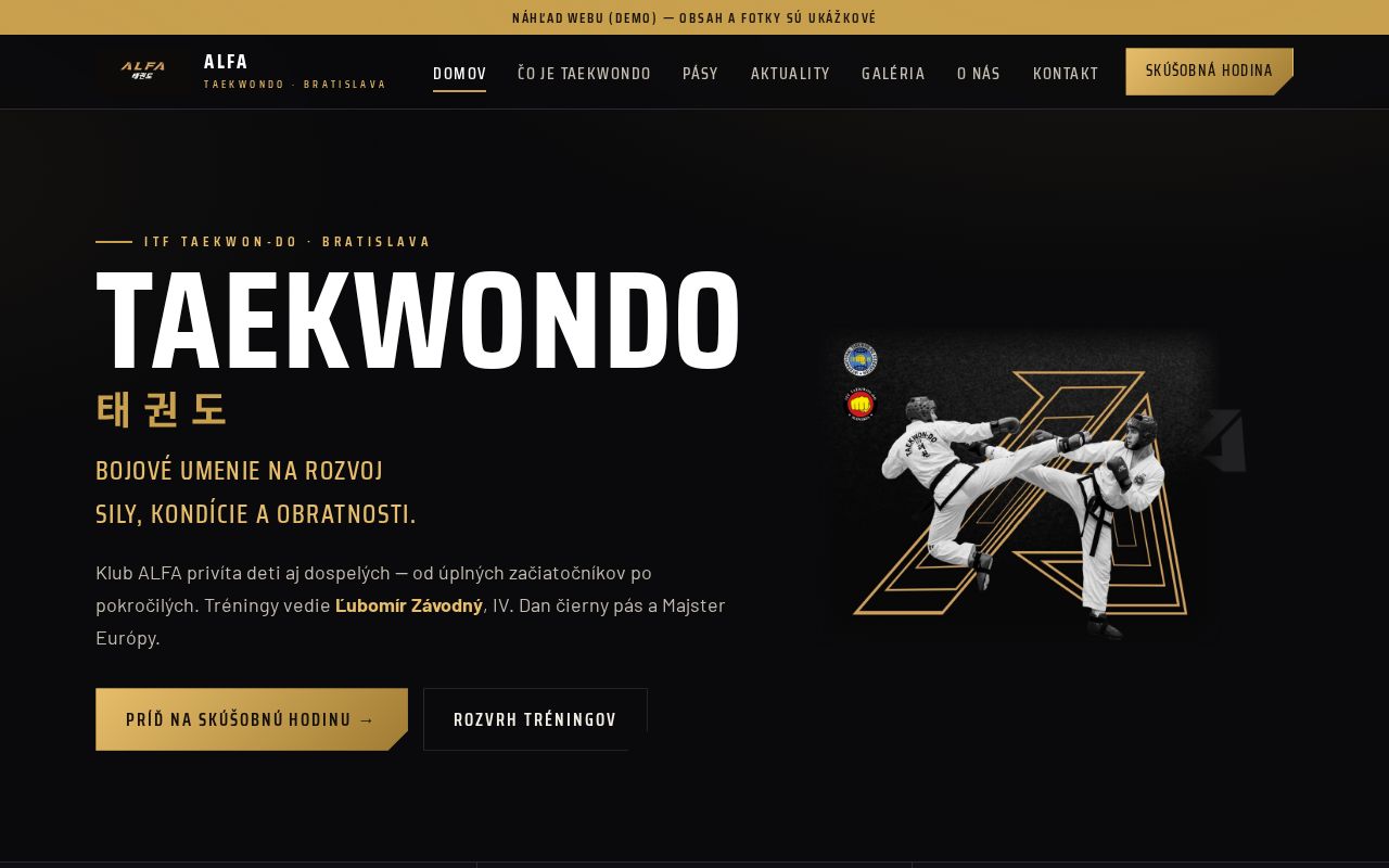 Preview of Taekwondo Alfa Klub