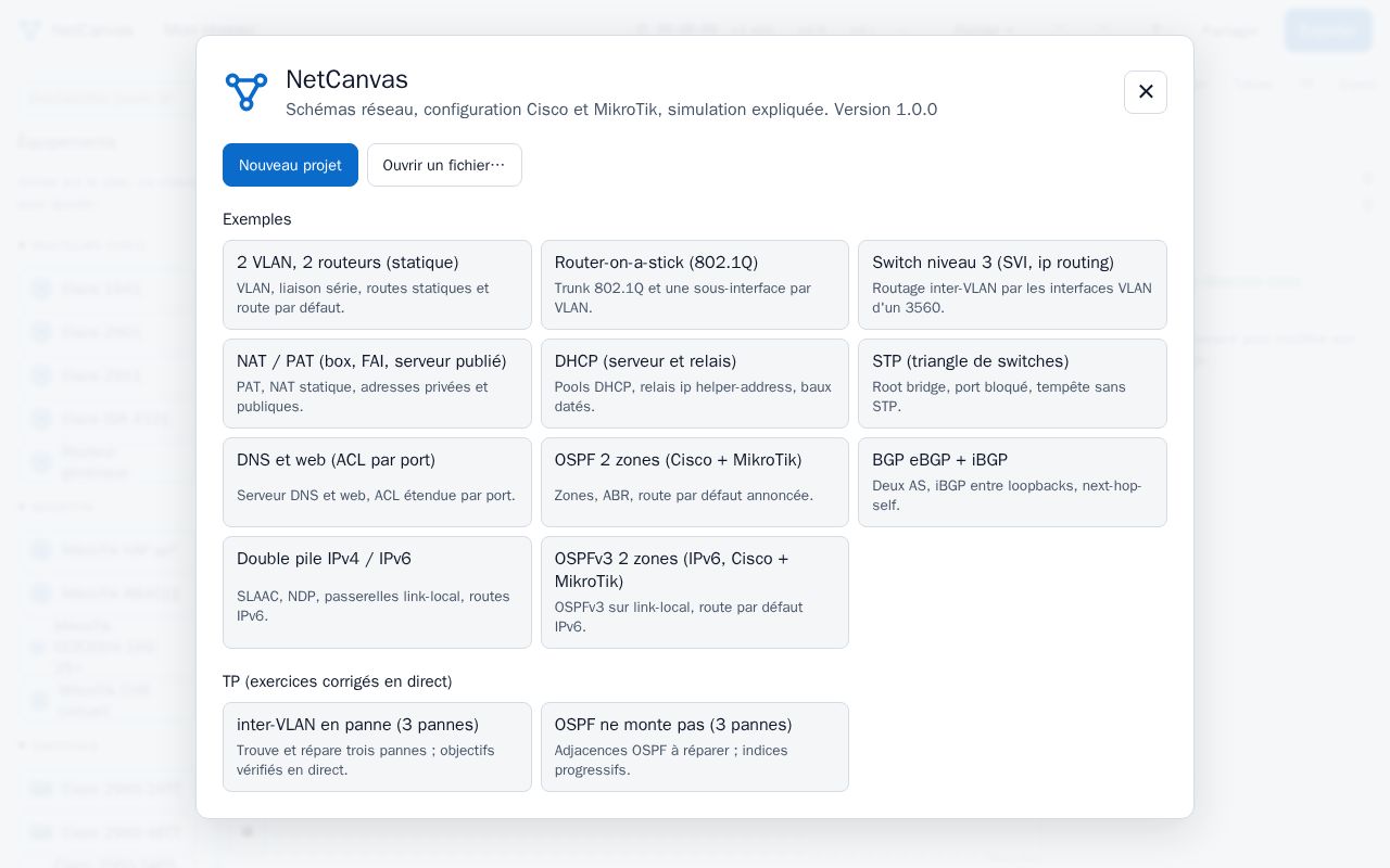 Preview of Netcanvas