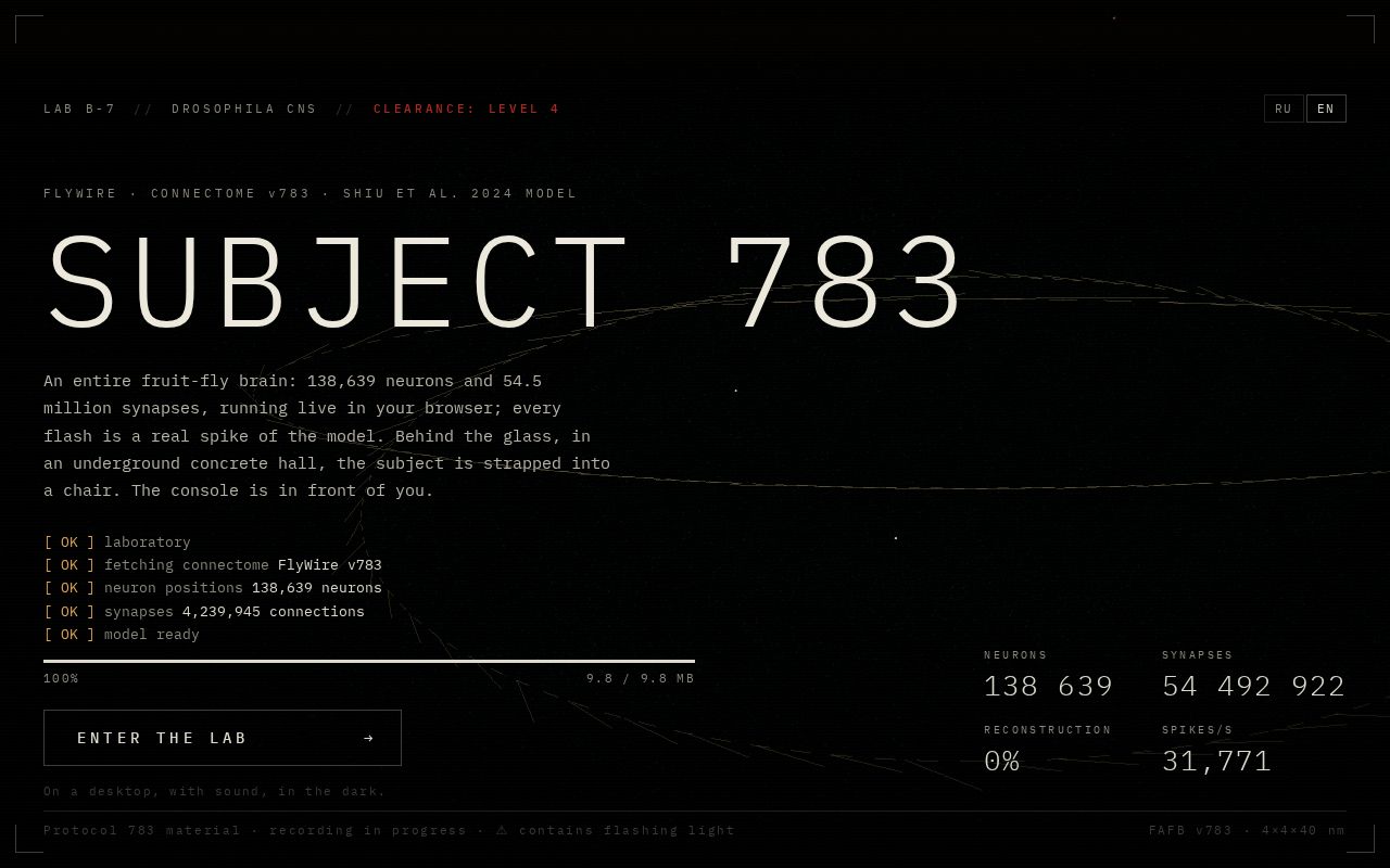 Preview of Subject 783