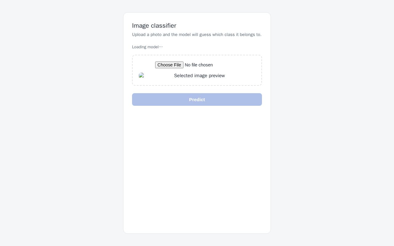 Preview of Image Classifier