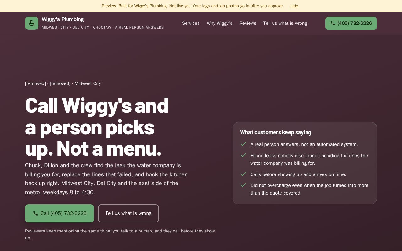 Preview of Wiggys Plumbing Preview
