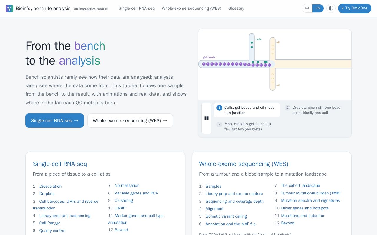 Preview of Bioinfo Tutorial