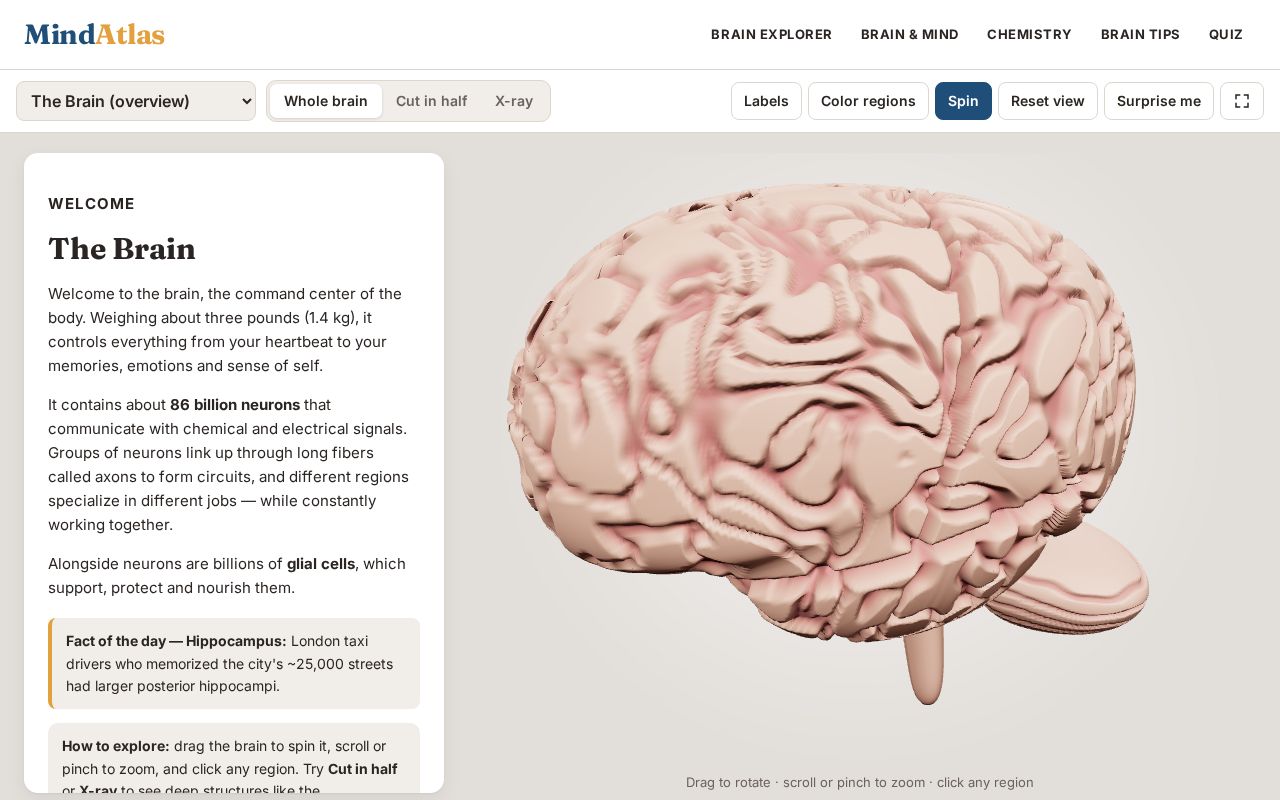 Preview of Mind Atlas