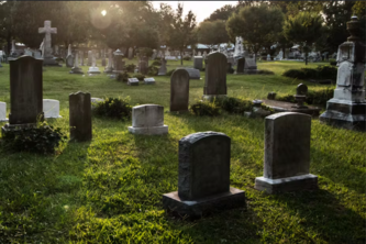 Preview of Habit Graveyard