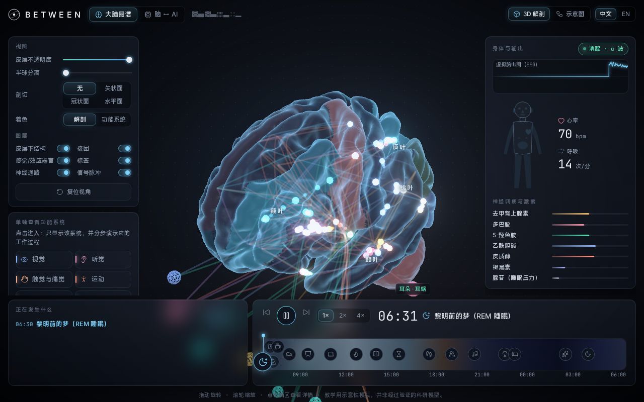 Preview of Between Brain Ai