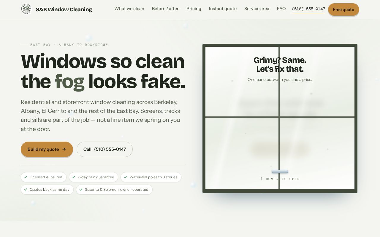 Preview of Window Washing Website