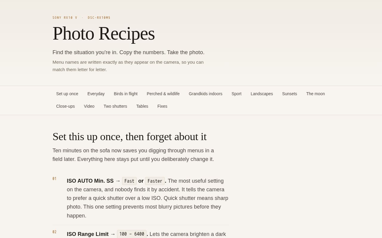 Preview of Sony Rx10v Recipes