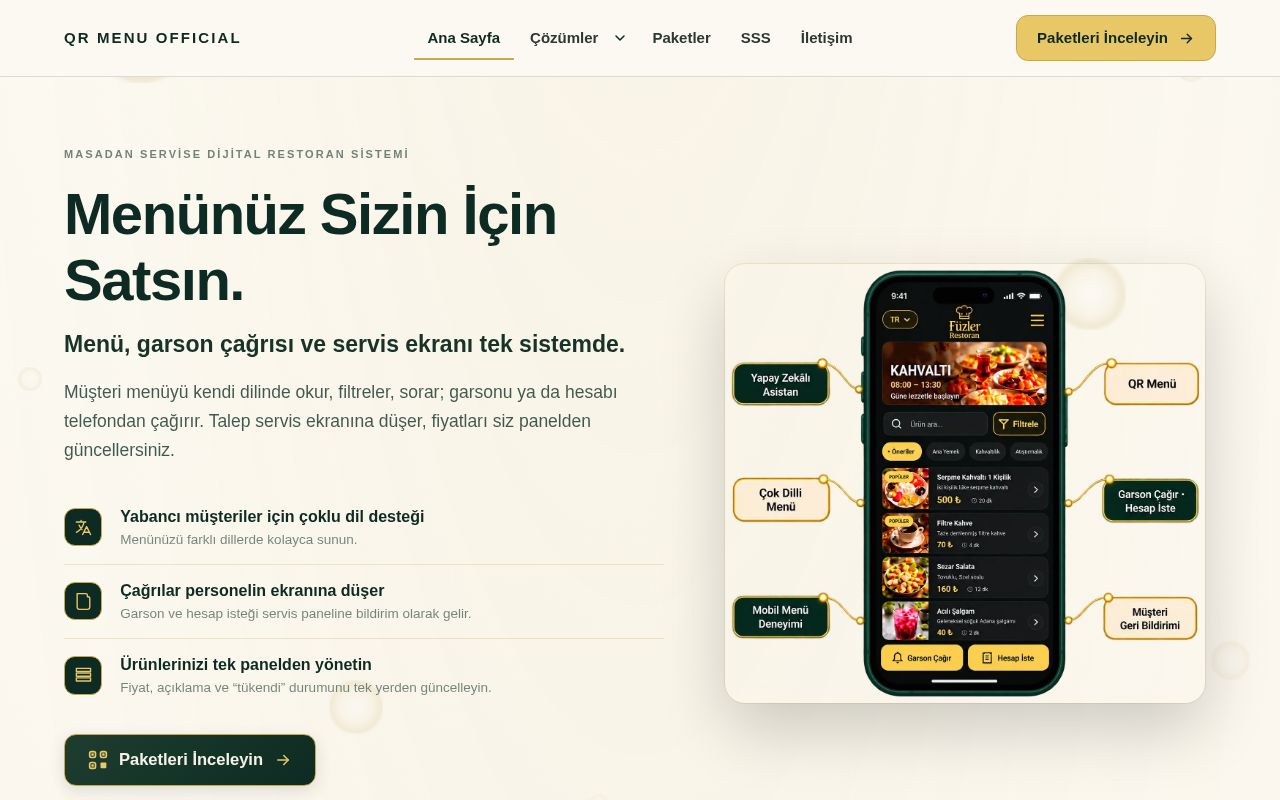 Preview of Anasite