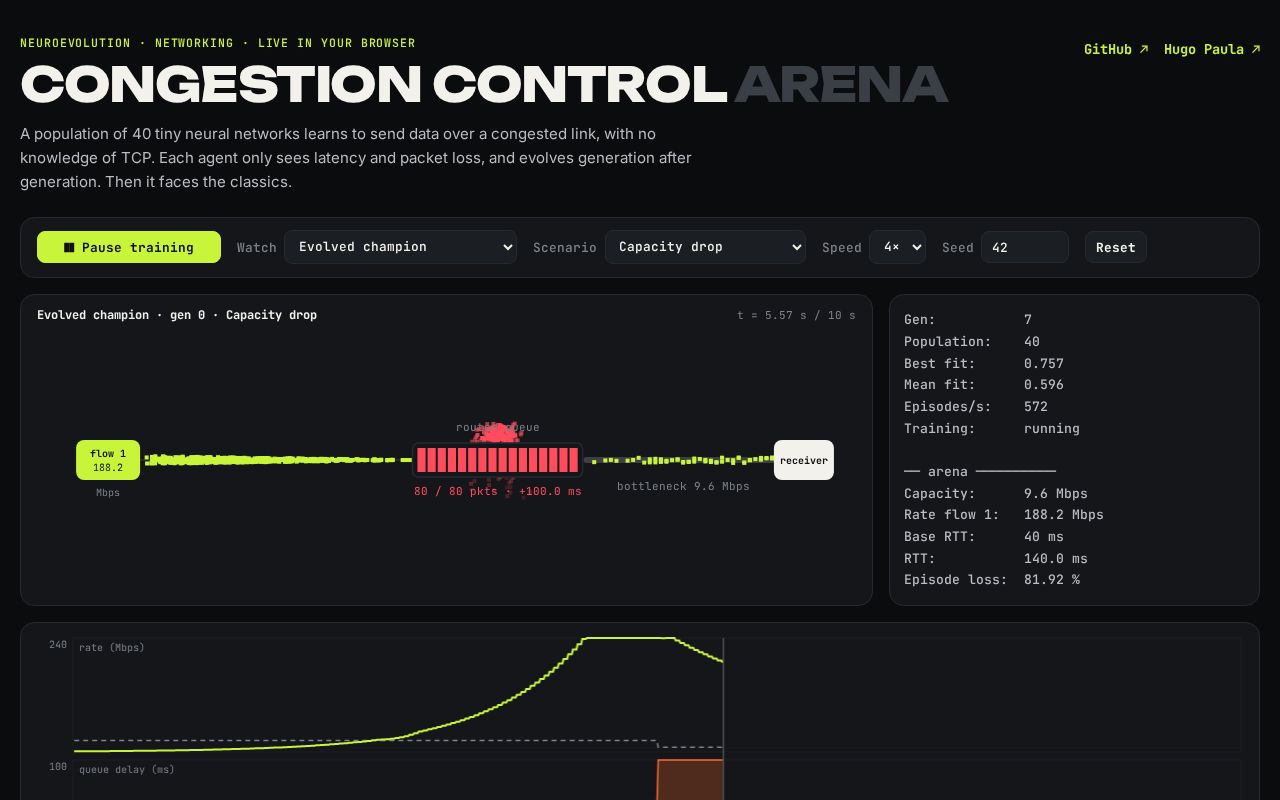 Preview of Congestion Control Arena