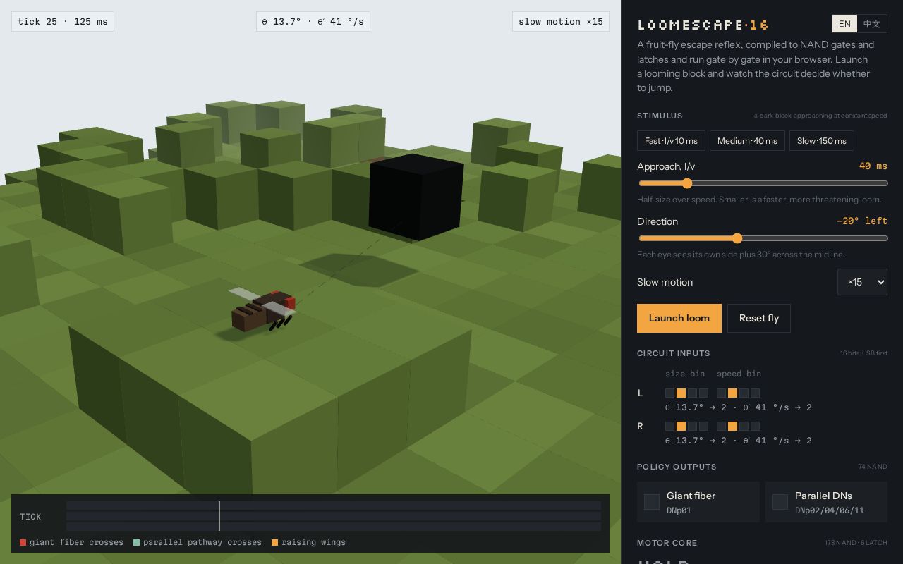Preview of C3s Reflex Circuits