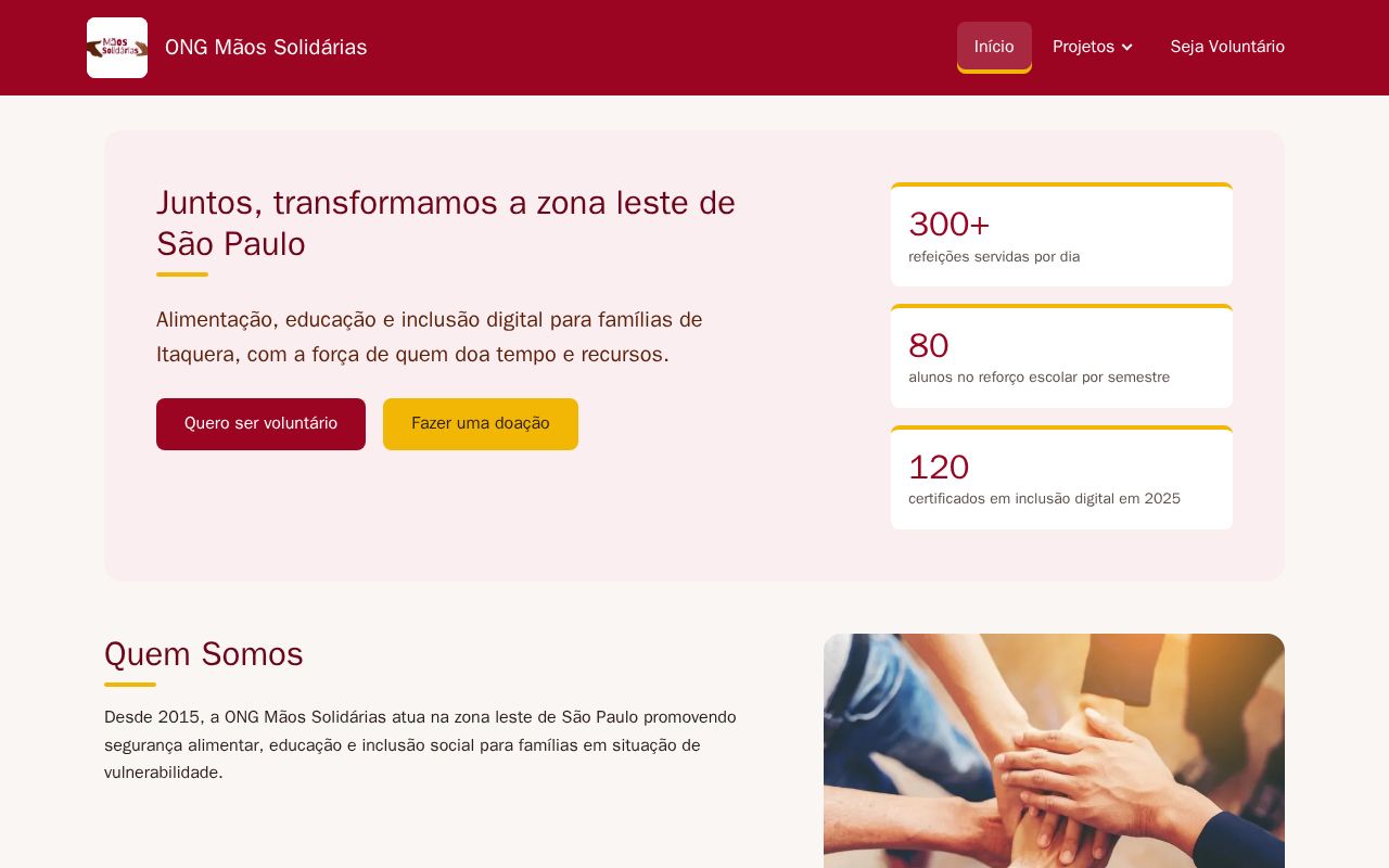 Preview of Ong Maos Solidarias