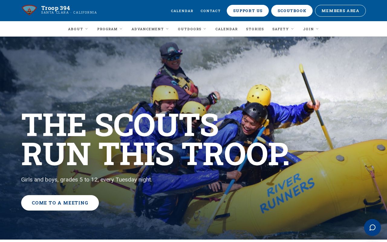Preview of Troop 2394