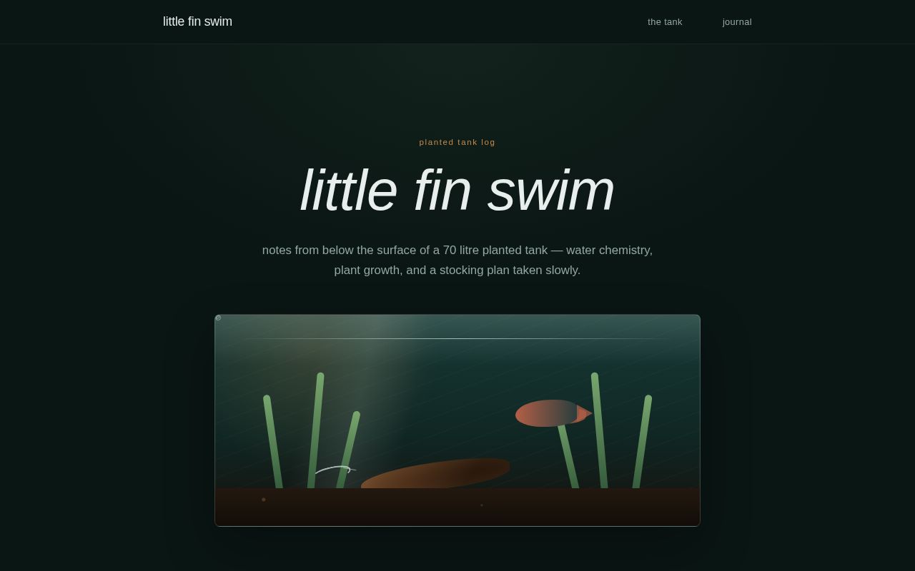Preview of Littlefinswim