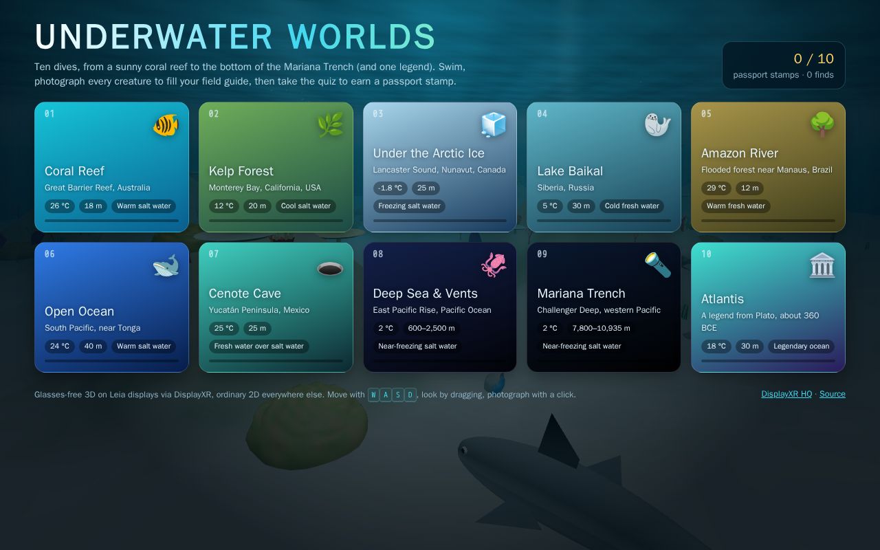 Preview of Displayxr Underwater