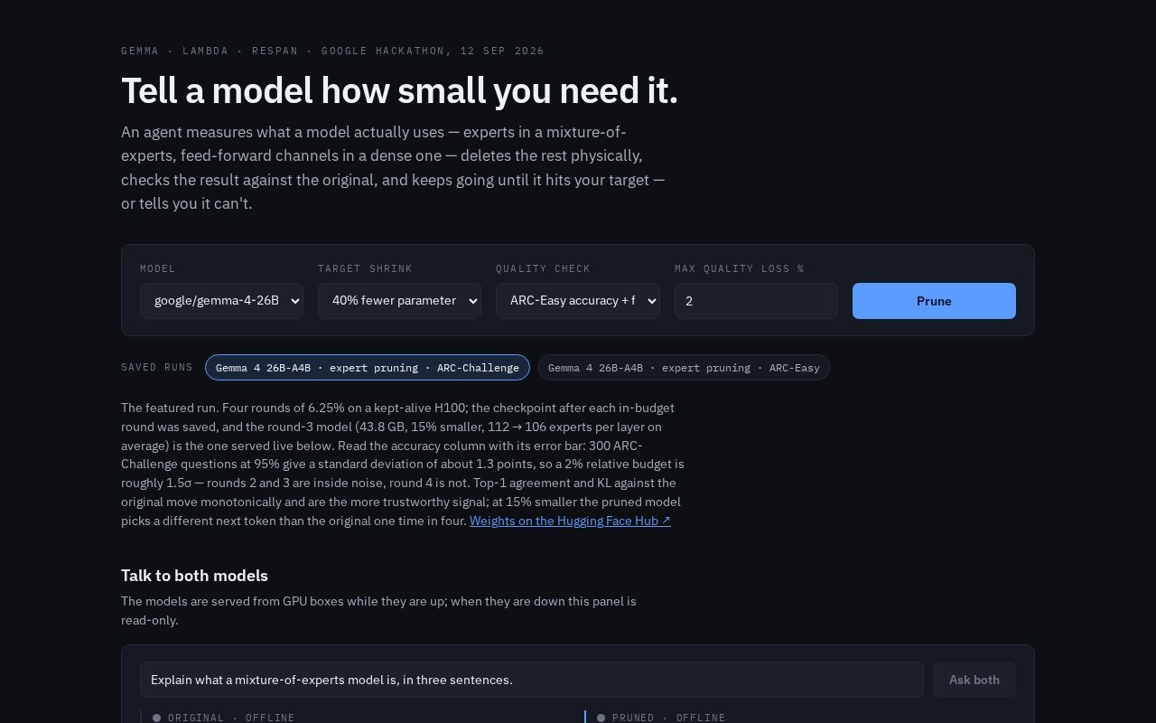 Preview of Vibepruner