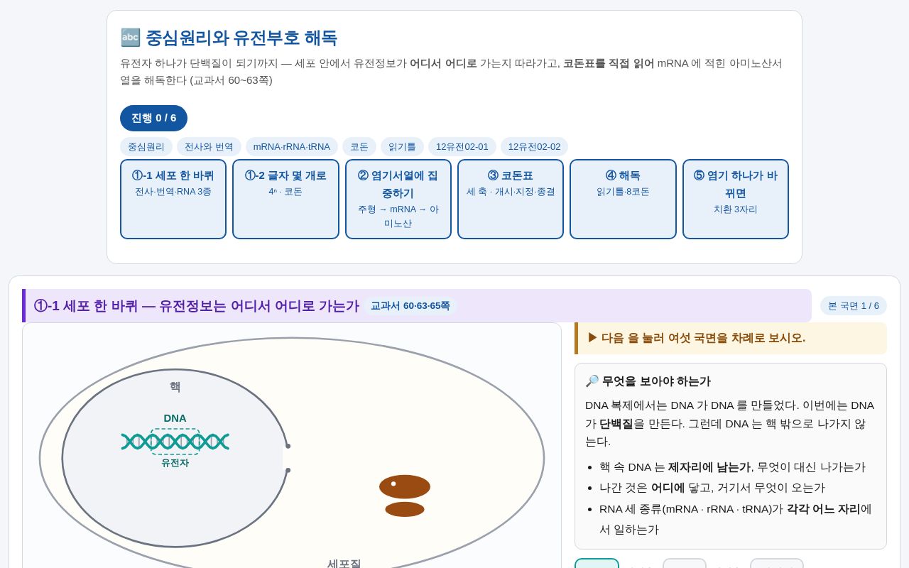 Preview of Codon Sim
