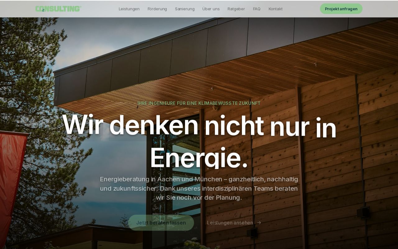 Preview of Co2nsulting Website