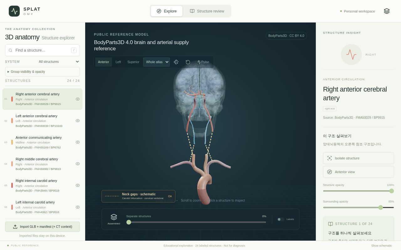 Preview of Topbrain Studio