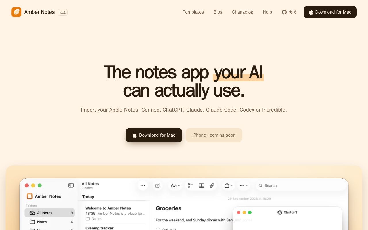 Preview of Amber Notes