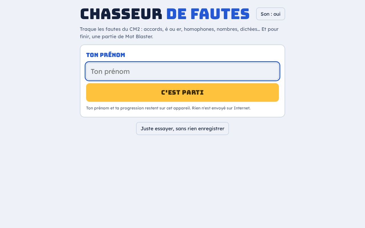 Preview of Chasseur de fautes