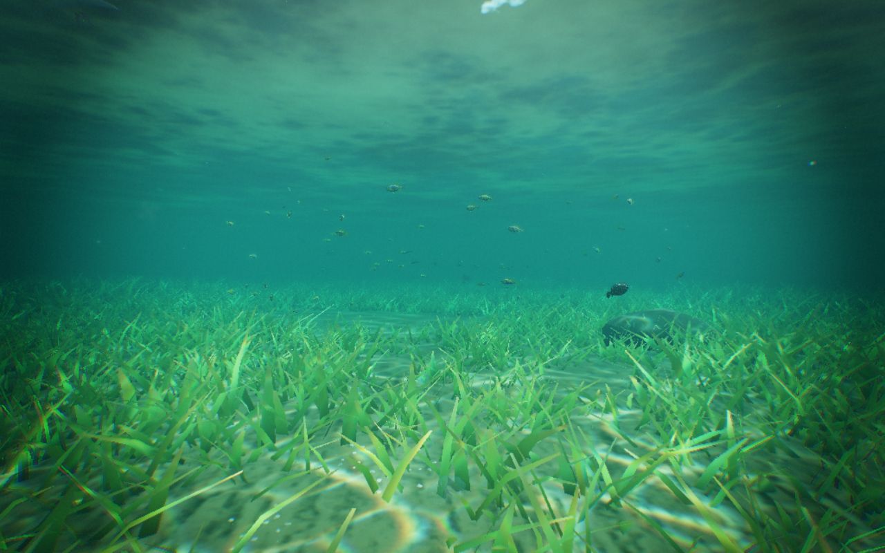 Preview of Marine Scene