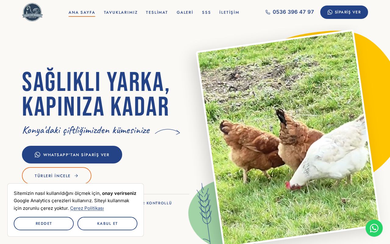 Preview of AzizCaglarUcEl23Yarka