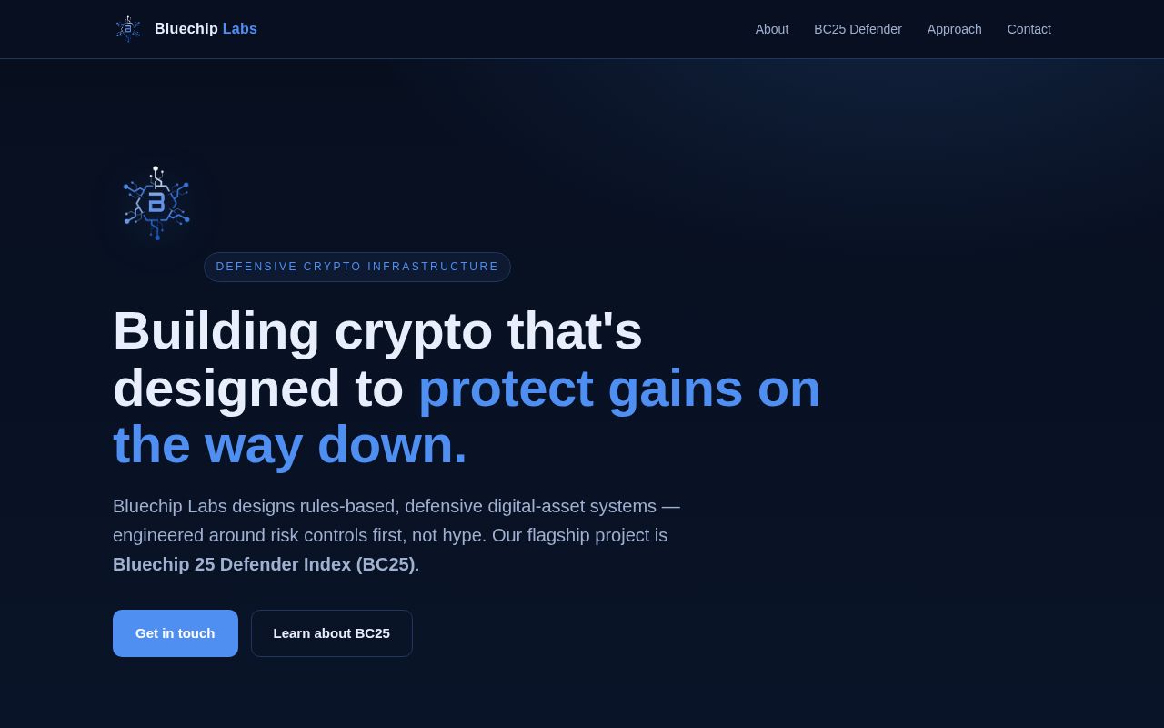 Preview of Bluechip Labs Site