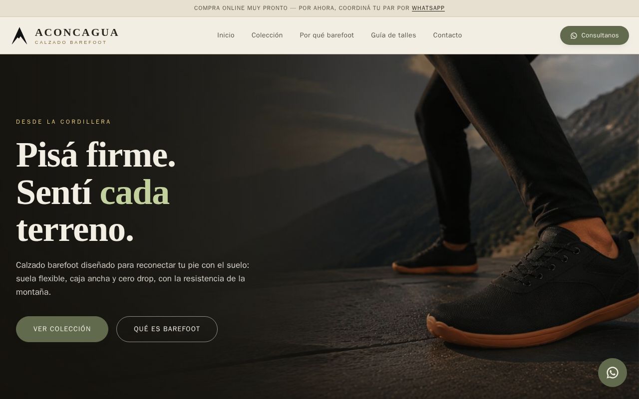 Preview of Aconcagua Web