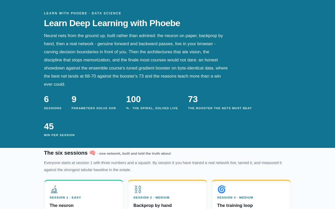 Preview of Learn Deep Learning With Phoebe