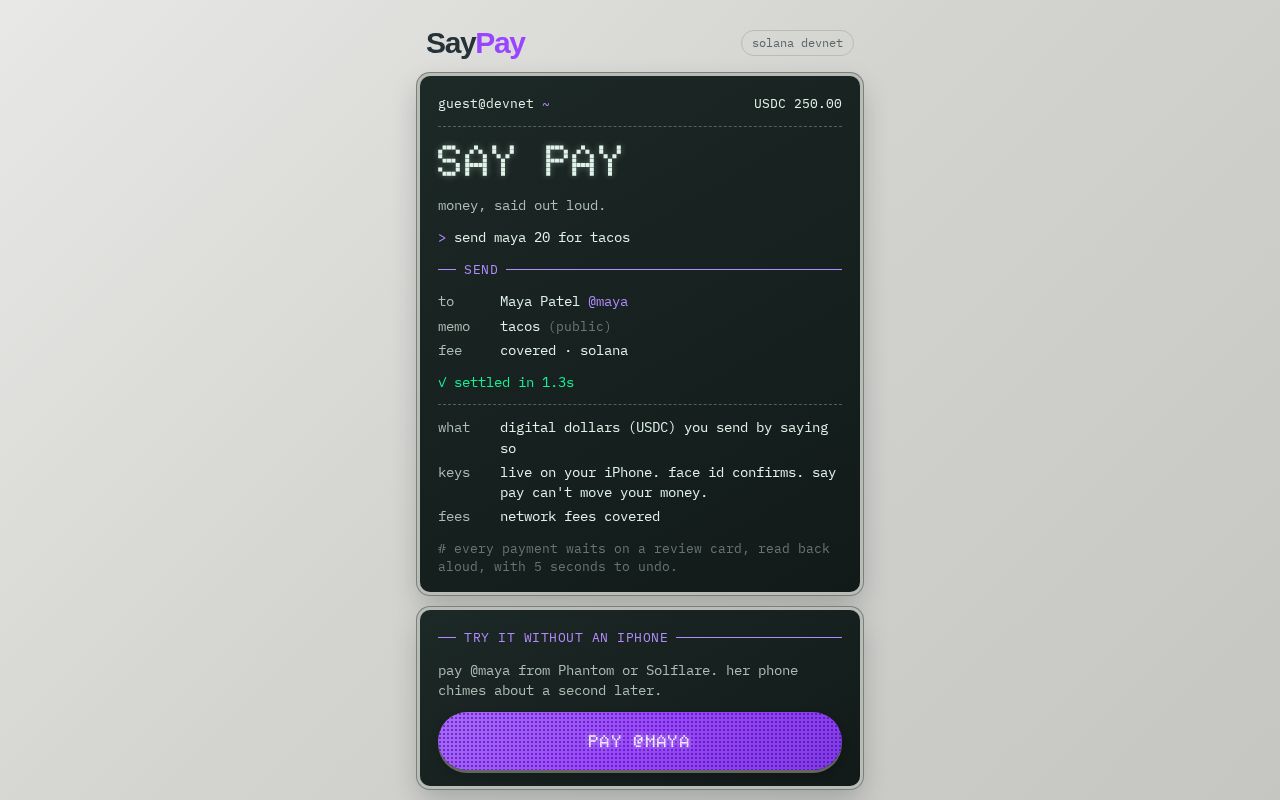 Preview of Say Pay