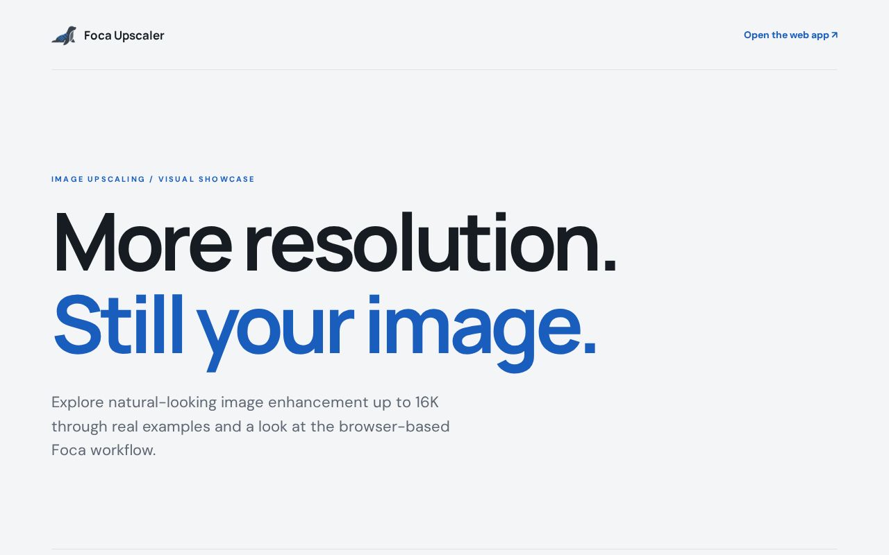 Preview of Foca Upscaler — AI Image Upscaling Visual Showcase
