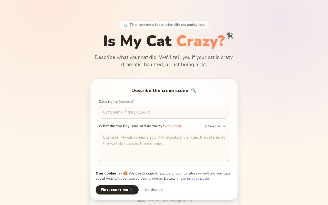 Preview of Is My Cat Crazy? The Least Scientific Cat Sanity Test